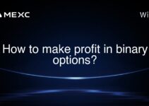 How to make profit in binary options? How to make profit in binary options?