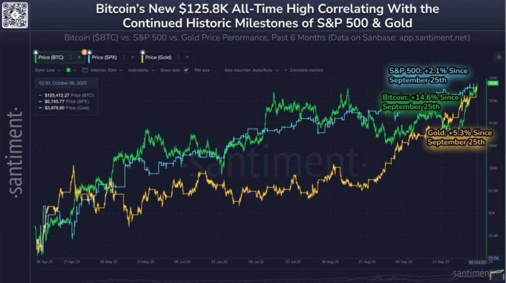 BTC New High