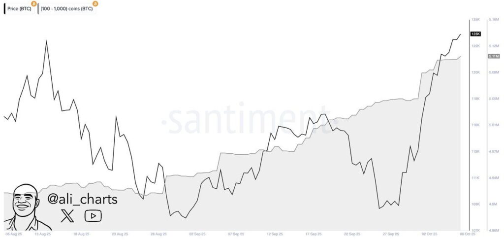 BTC