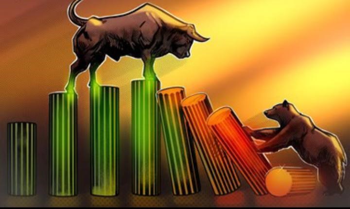 Bull vs Bear