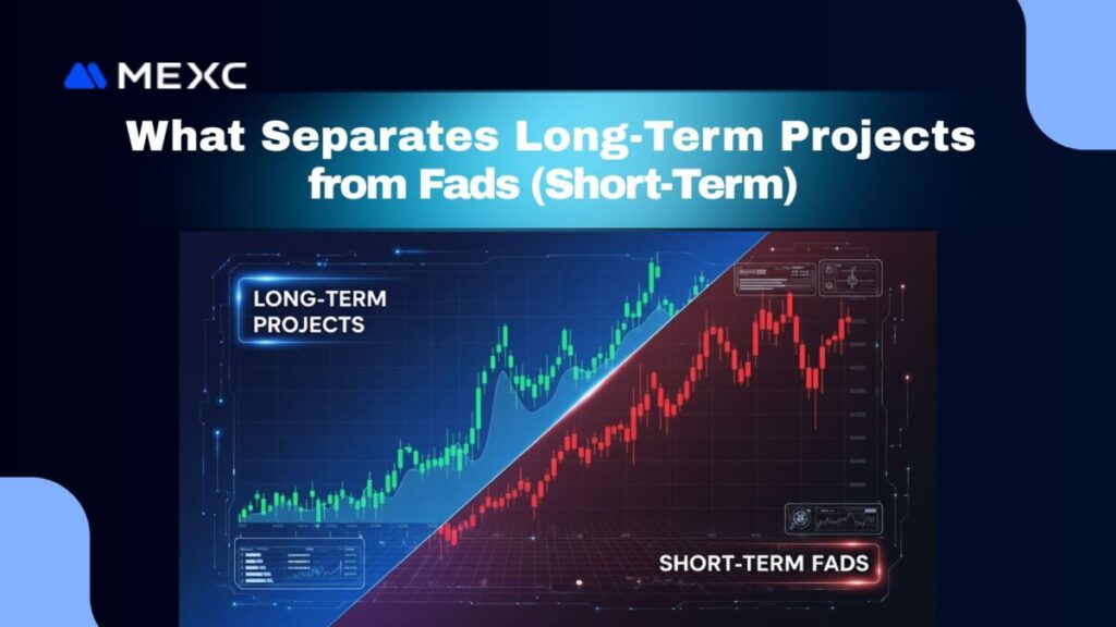 What Separates Long-Term Projects from Fads (Short-Term) 