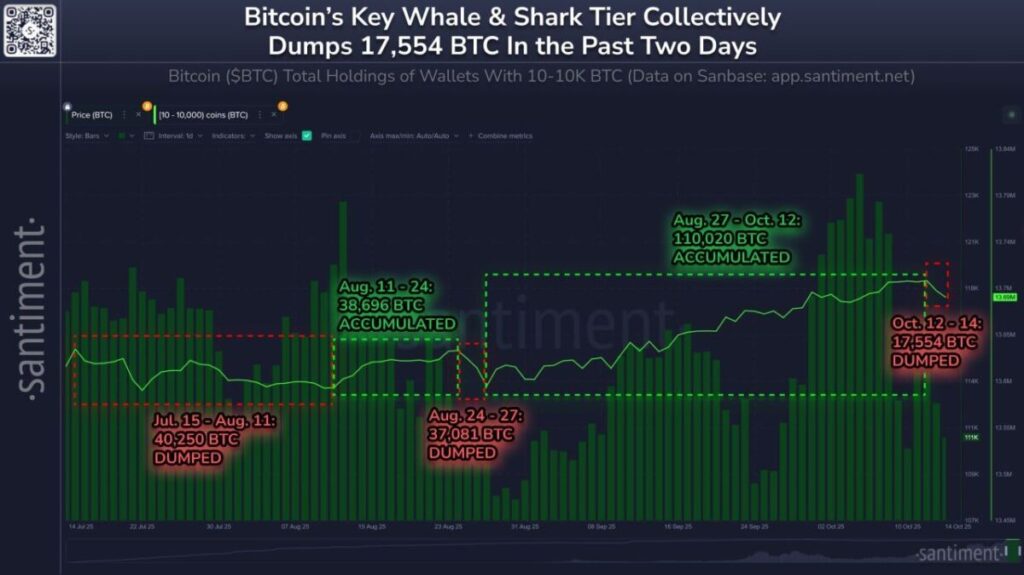 BTC