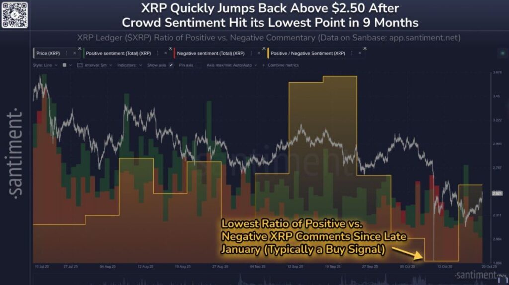 XRP jumps back