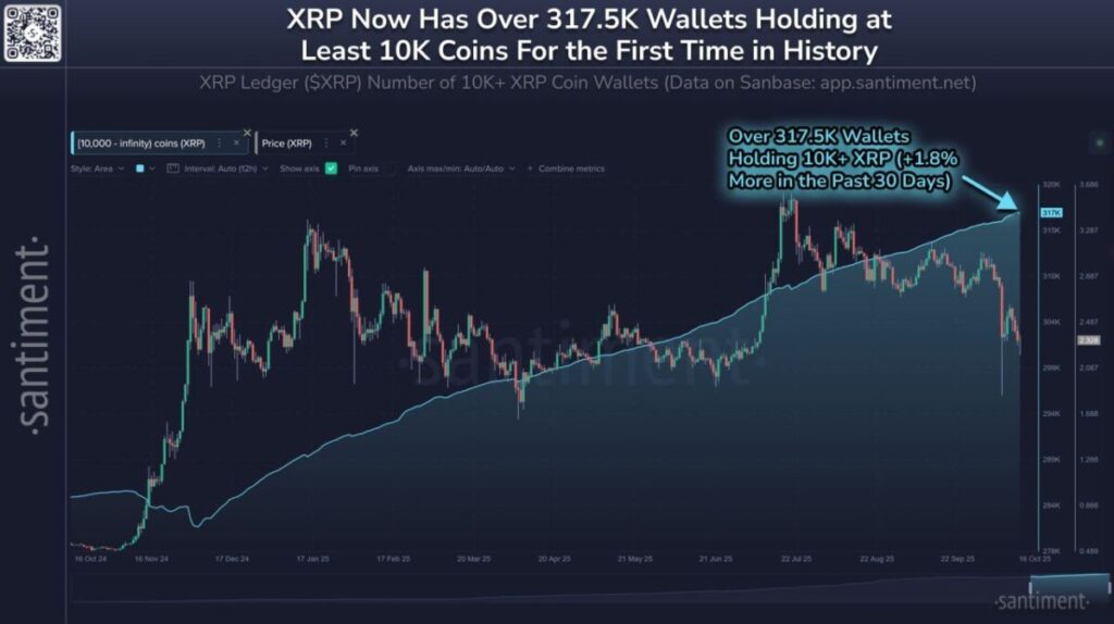 XRP wallets