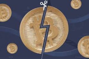 Bitcoin’s Post-Halving Landscape: Key Insights and Market Trends for 2025