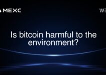 Is bitcoin harmful to the environment?