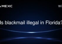 Is blackmail illegal in Florida?