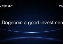 Is Dogecoin a good investment? Is Dogecoin a good investment?