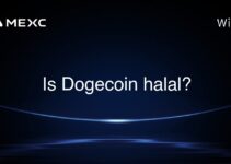 Is Dogecoin halal? Is Dogecoin halal?