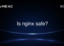 Is nginx safe?