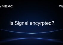 Is Signal encyrpted?