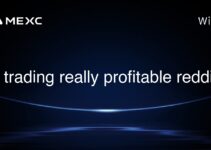Is trading really profitable reddit?
