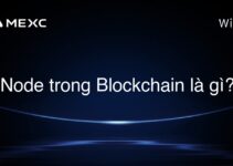 Node trong Blockchain là gì? Node trong Blockchain là gì?