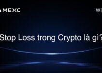 Stop Loss trong Crypto là gì?