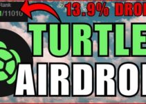 Turtle Airdrop 2025 Guide: How to Claim, and Maximize TURTLE Token