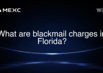 What are blackmail charges in Florida?