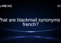 What are blackmail synonyms in french?