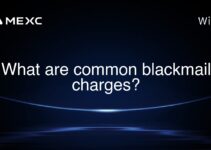 What are common blackmail charges?