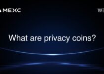 What are privacy coins?