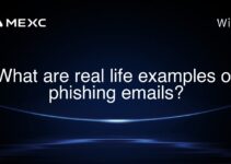 What are real life examples of phishing emails?