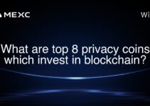 What are top 8 privacy coins which invest in blockchain?