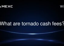 What are tornado cash fees?