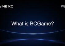 What is BCGame? What is BCGame?