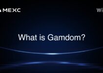 What is Gamdom?