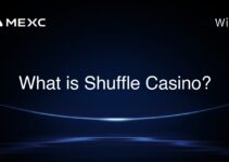 What is Shuffle Casino?