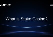 What is Stake Casino?