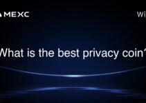 What is the best privacy coin?