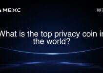 What is the top privacy coin in the world?