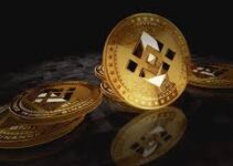 Memecoin Wave on BNB Chain Explodes- These Are The Websites That Help You Spot Potential Memecoins