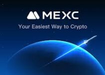 Daily Routine for MEXC Traders: Step by Step to Get Full Market Information