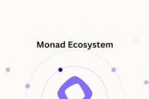 Top Projects Building on Monad Ecosystem