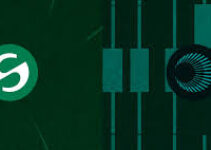 Plasma vs Stable: Hvilken Stablecoin Blockchain Vil Dominere USDT Betalinger?