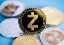 Zcash Surges 45% in One Week: Why Privacy Coins Are Back and What November’s Halving Means Zcash Surges 45% in One Week: Why Privacy Coins Are Back and What November’s Halving Means