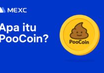 Apa Itu PooCoin (POOCOIN)? Token Unik yang Redefinisi Alat Analisis di Dunia DeFi Apa Itu PooCoin (POOCOIN)? Token Unik yang Redefinisi Alat Analisis di Dunia DeFi