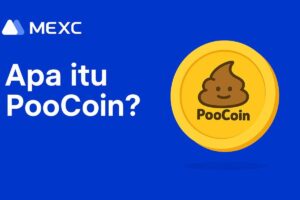 Apa Itu PooCoin (POOCOIN)? Token Unik yang Redefinisi Alat Analisis di Dunia DeFi