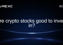 Are crypto stocks good to invest in?