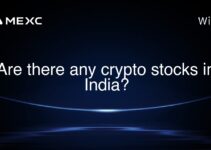 Are there any crypto stocks in India? Are there any crypto stocks in India?