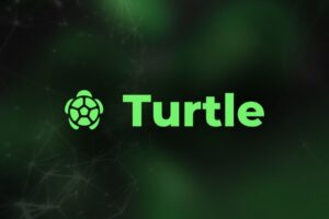 Coin TURTLE là gì? Phân tích & đánh giá chi tiết TURTLE  – Token DeFi 2025