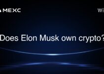 Does Elon Musk own crypto?