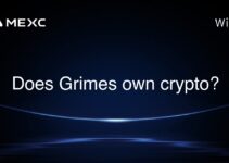 Does Grimes own crypto?