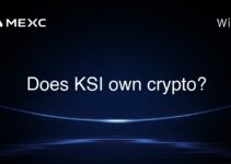 Does KSI own crypto? Does KSI own crypto?