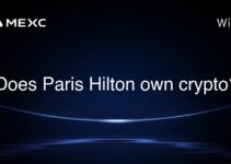 Does Paris Hilton own crypto?