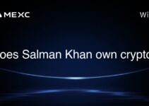 Does Salman Khan own crypto?
