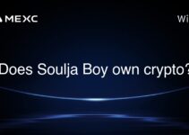 Does Soulja Boy own crypto? Does Soulja Boy own crypto?