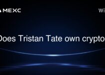 Does Tristan Tate own crypto?