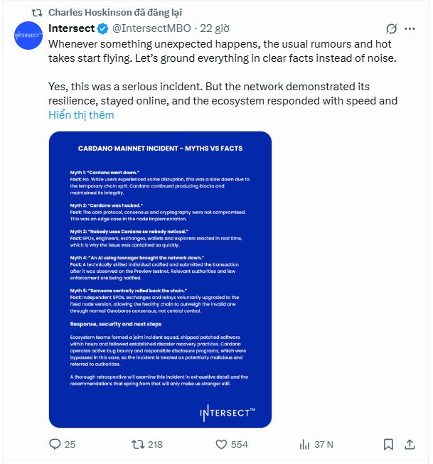 Cardano Governance: Who Is Controlling Whom?